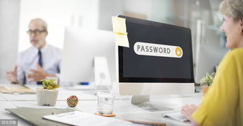 構(gòu)建創(chuàng)新商標(biāo)品牌與高效信息系統(tǒng)運(yùn)維服務(wù)的雙輪驅(qū)動(dòng)戰(zhàn)略